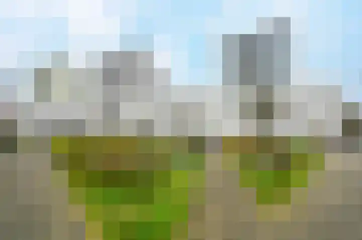 Versteegstraat 55 Voorburg thumbnail 5