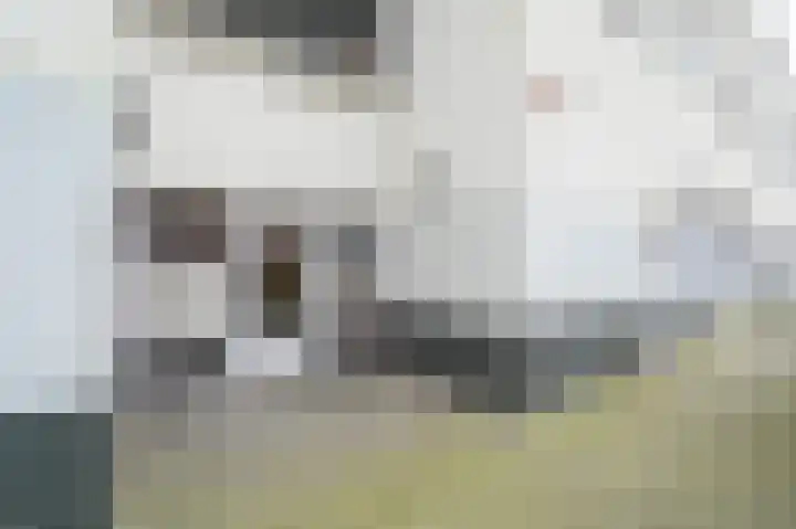 Versteegstraat 55 Voorburg thumbnail 7