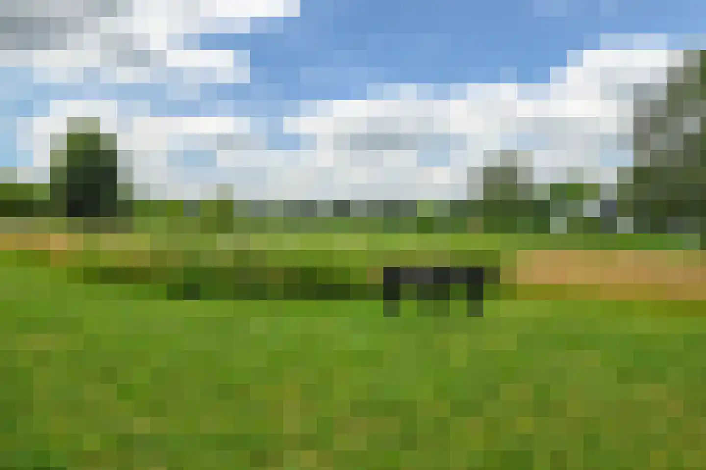 Versteghehof 14 Garderen thumbnail 30