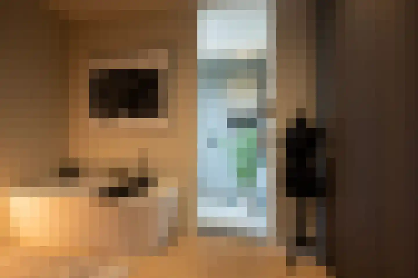 Versteghehof 2 Garderen thumbnail 14