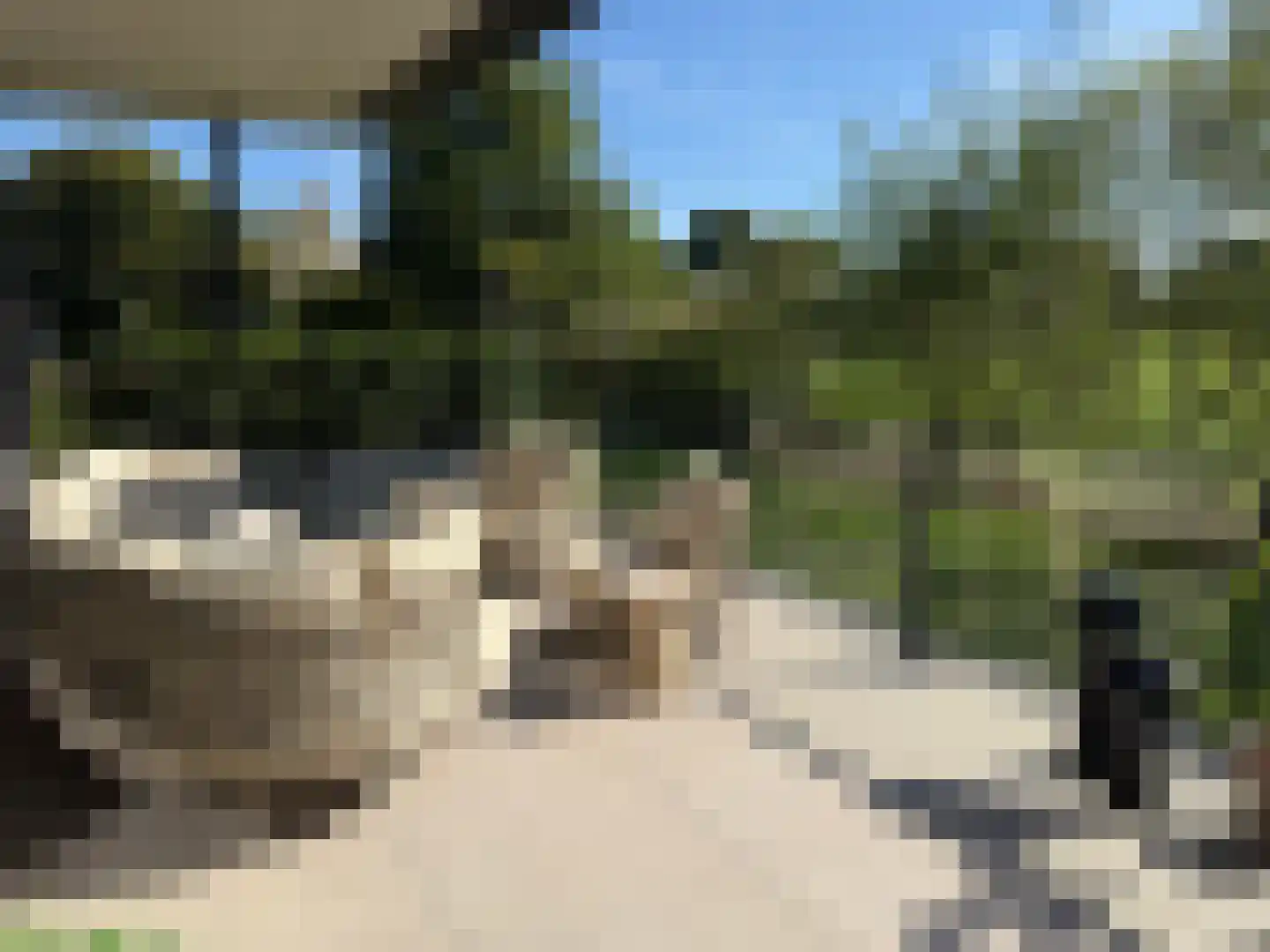 Versteghehof 2 Garderen thumbnail 37