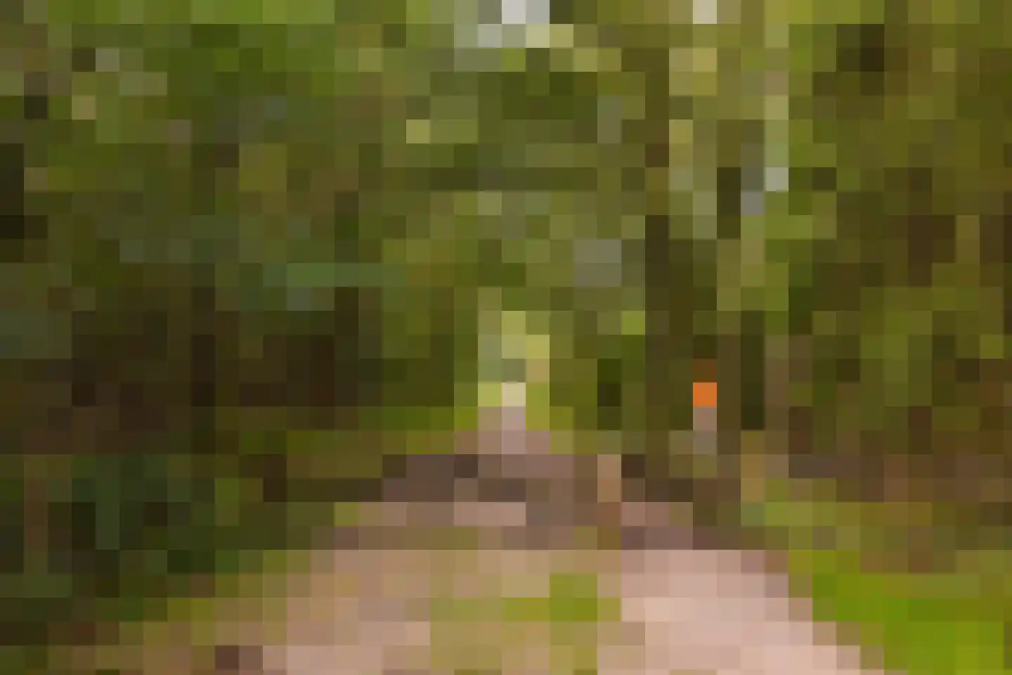 Versteghehof 2 Garderen thumbnail 39