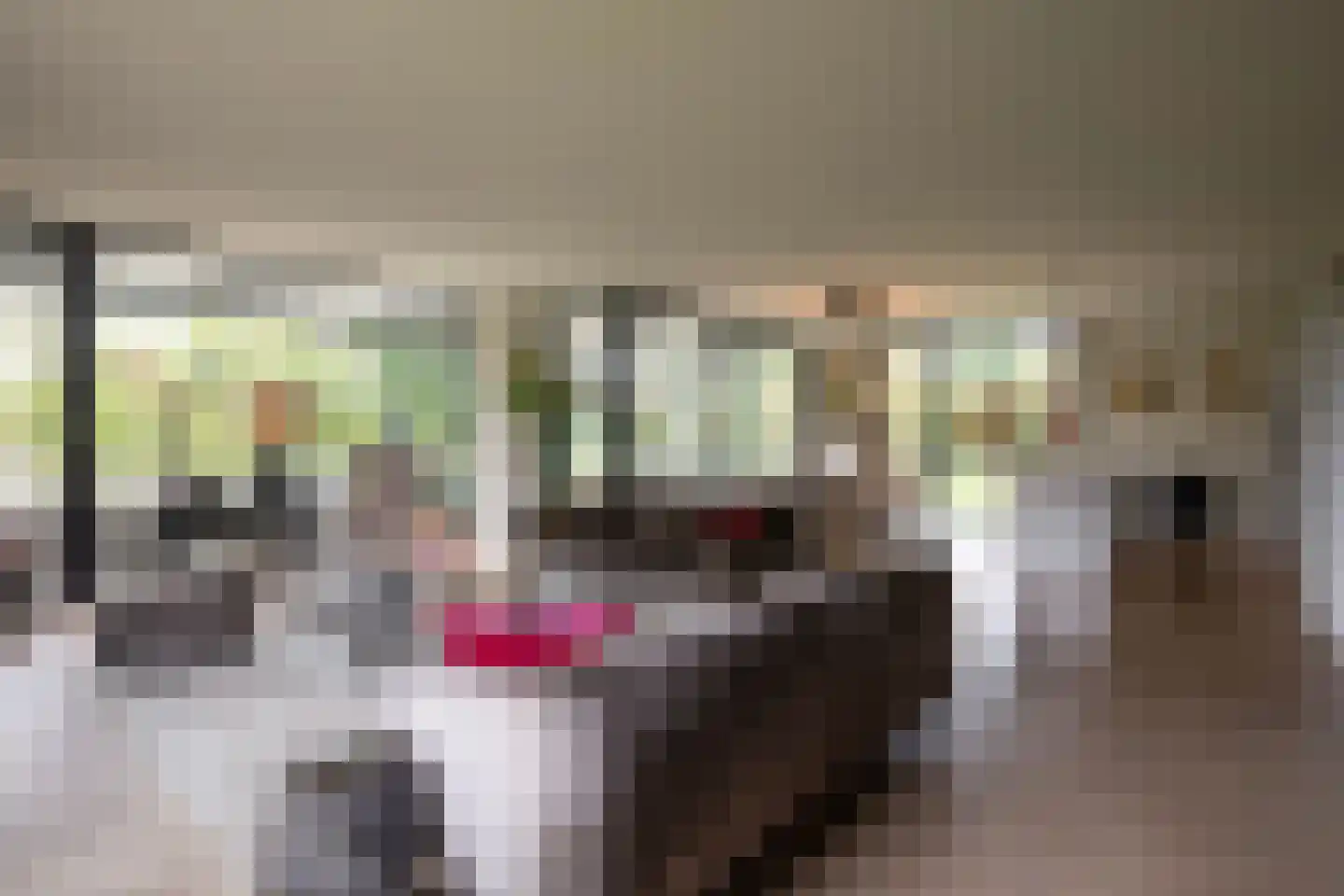 Versteghehof 2 Garderen thumbnail 4