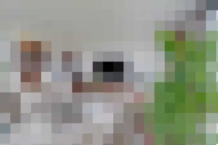Versteghehof 6 Garderen thumbnail 11