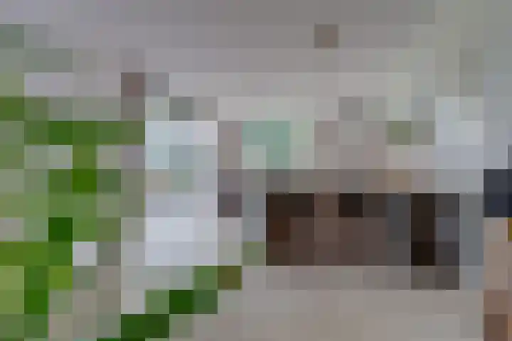 Versteghehof 6 Garderen thumbnail 13