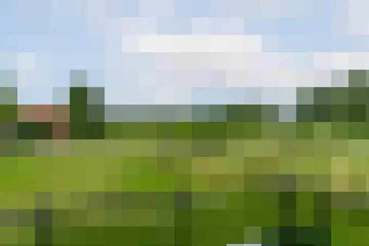 Versteghehof 6 Garderen thumbnail 24