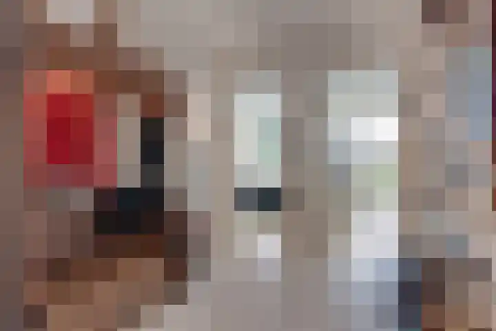 Versteghehof 6 Garderen thumbnail 25