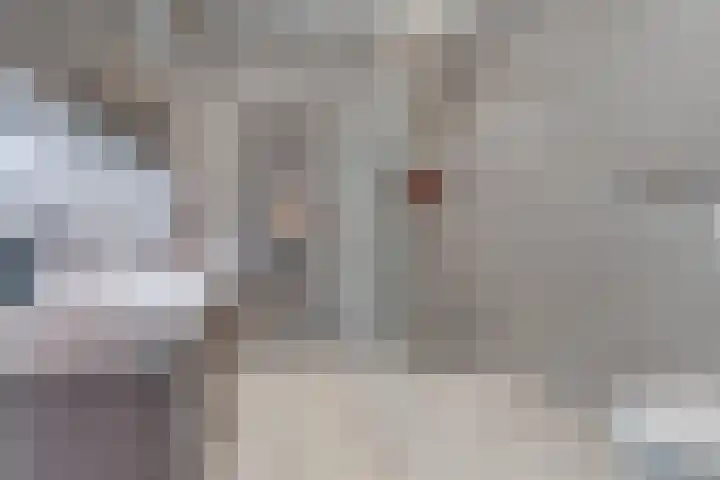 Versteghehof 6 Garderen thumbnail 33