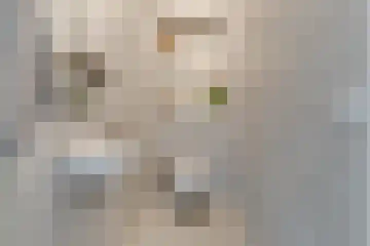 Versteghehof 6 Garderen thumbnail 36