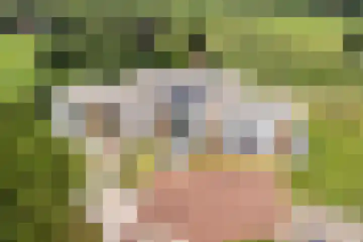 Versteghehof 6 Garderen thumbnail 43