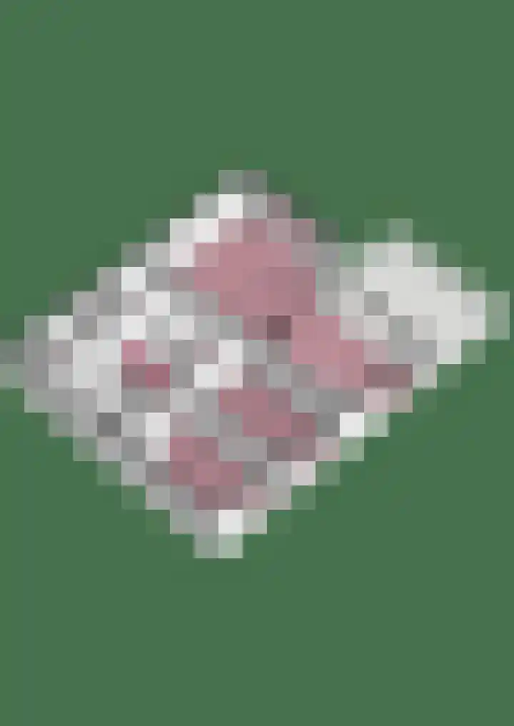 Versteghehof 6 Garderen thumbnail 49