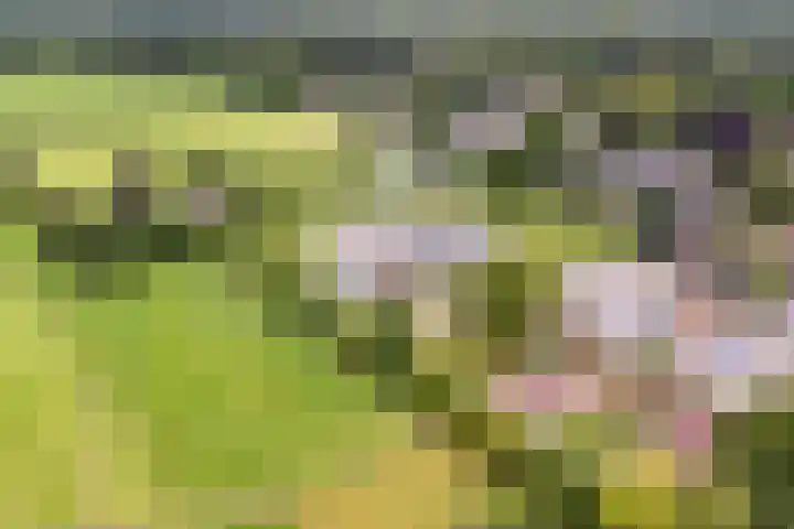 Versteghehof 6 Garderen thumbnail 5