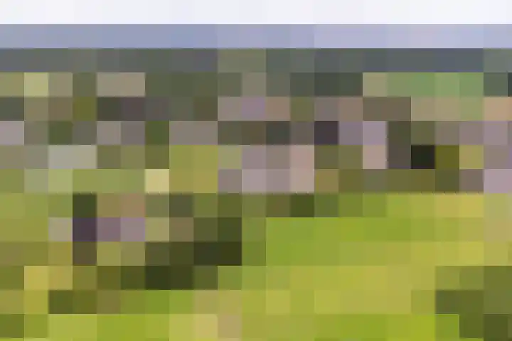 Versteghehof 6 Garderen thumbnail 6