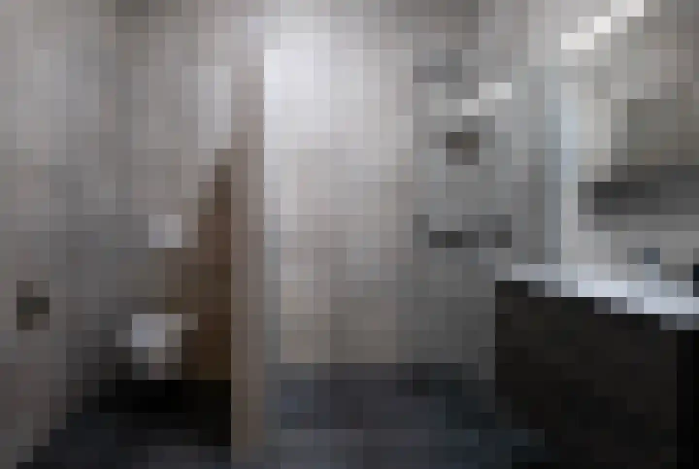 Versteghehof 8 Garderen thumbnail 19