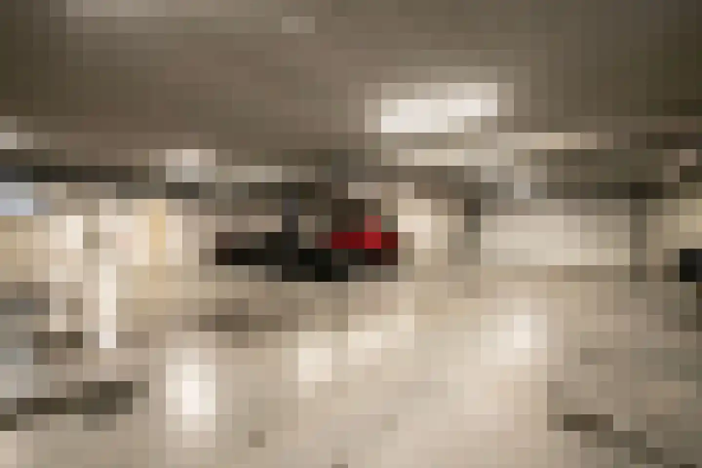 Versteghehof 8 Garderen thumbnail 28