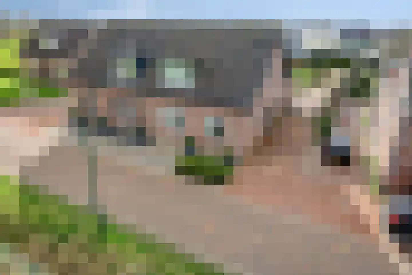 Versterstraat 10 Gilze thumbnail 44
