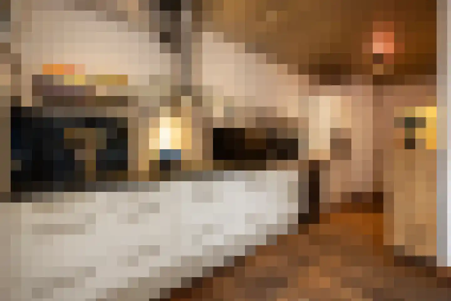Versterstraat 10 Vught thumbnail 17