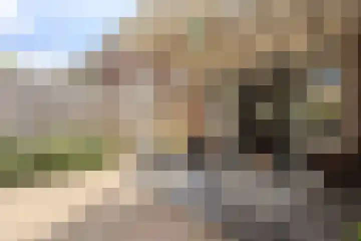 Versterstraat 24 Vught thumbnail 37