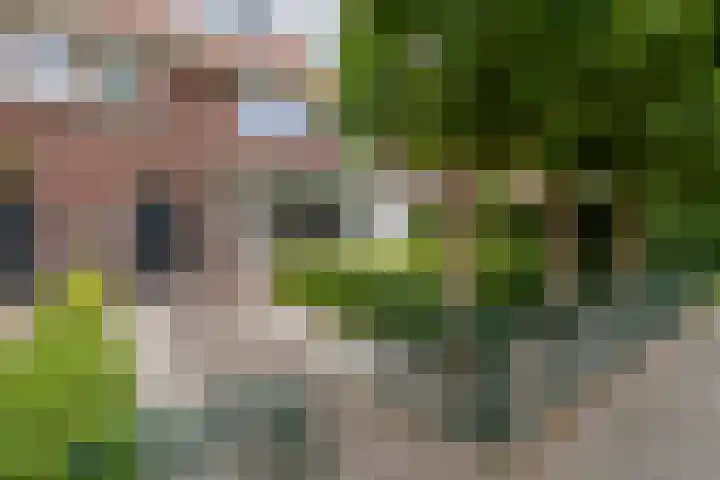 Versterstraat 24 Vught thumbnail 5