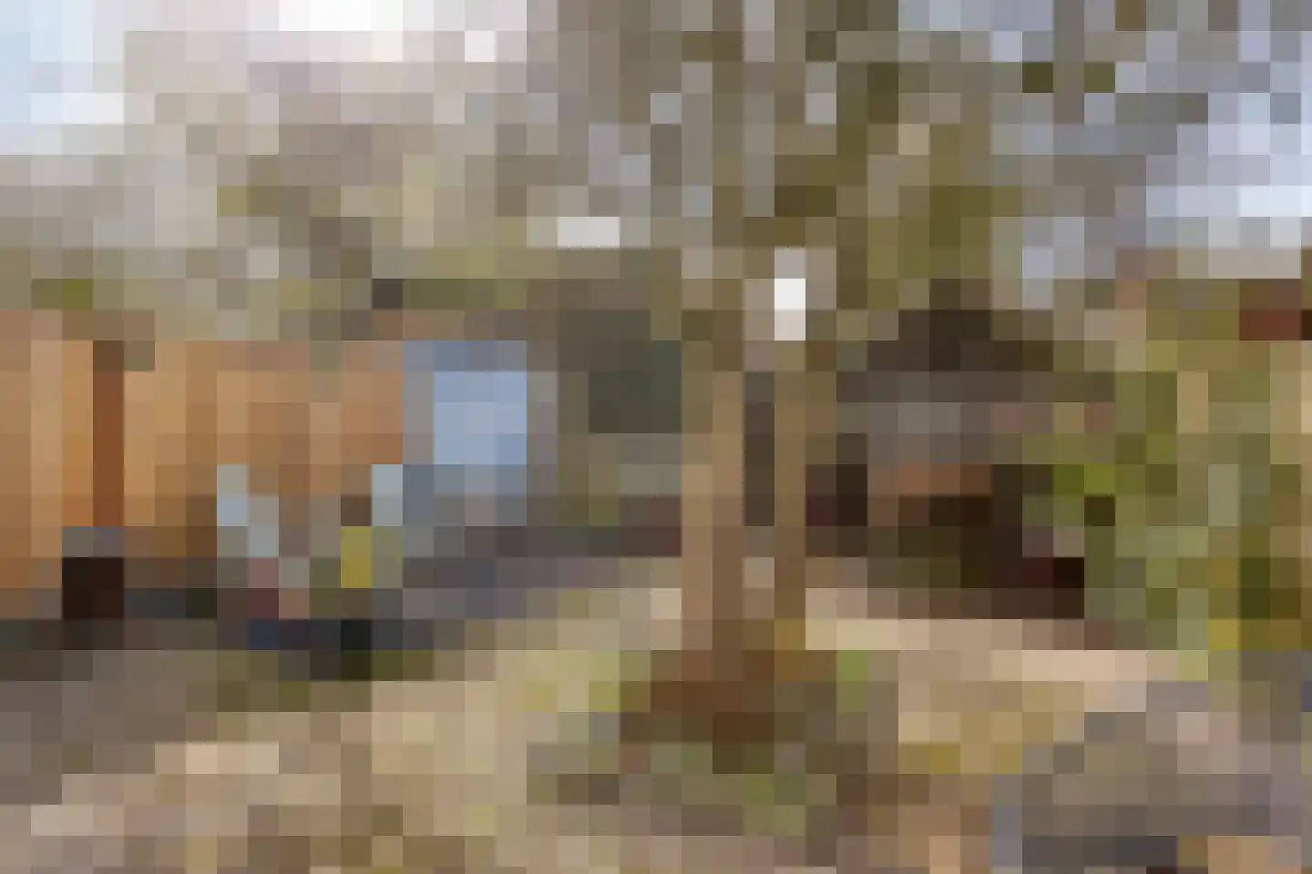 Versterstraat 27 Vught thumbnail 43