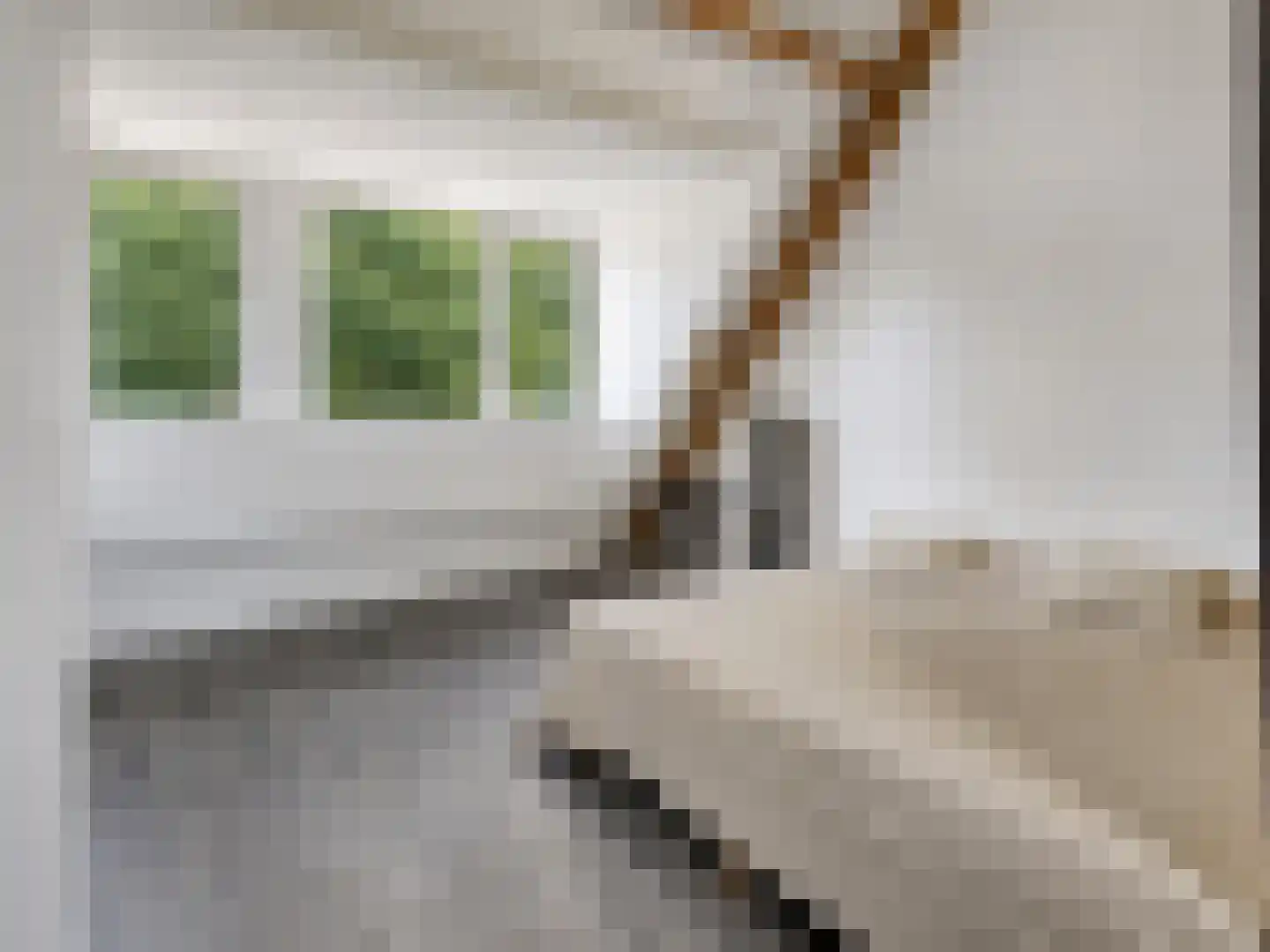 Versterstraat 40 Vught thumbnail 27
