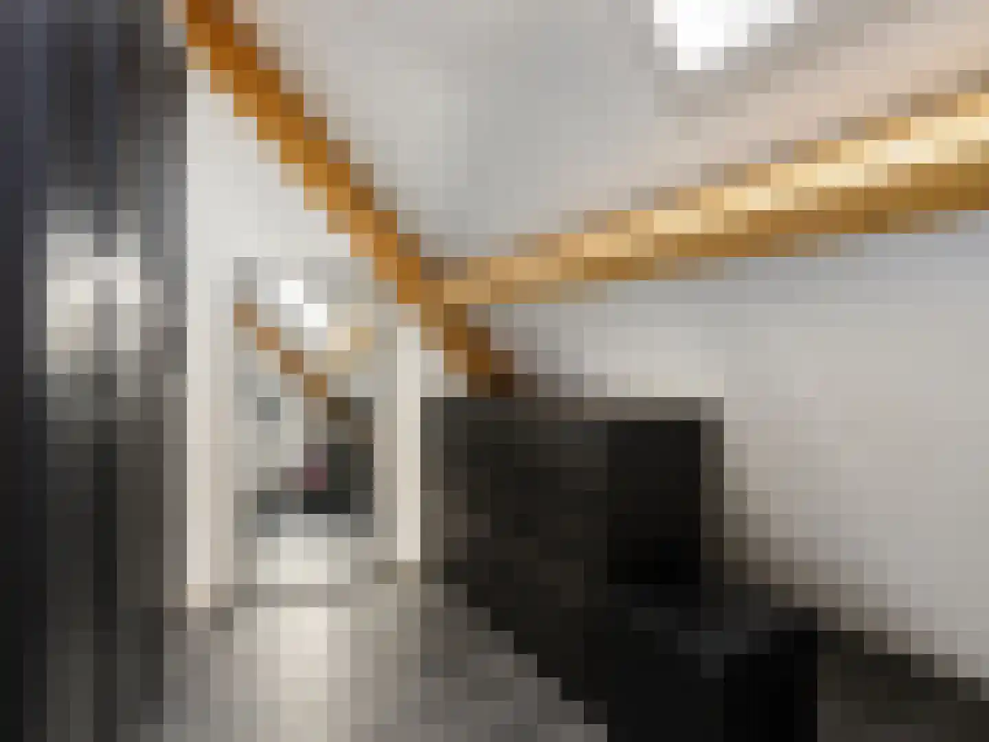 Versterstraat 40 Vught thumbnail 29