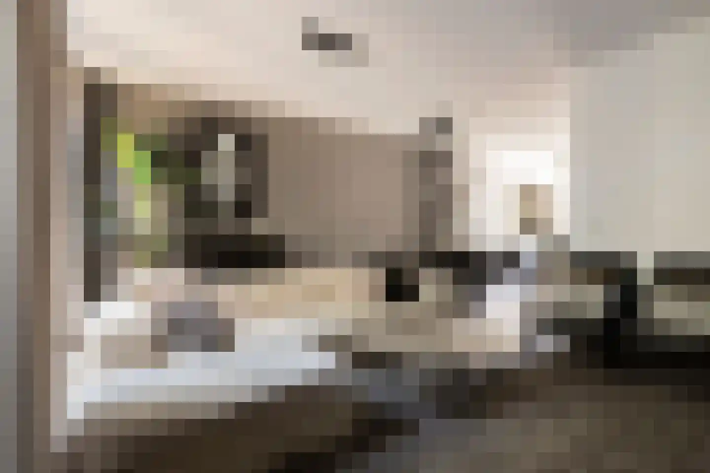 Versterstraat 40 Vught thumbnail 4