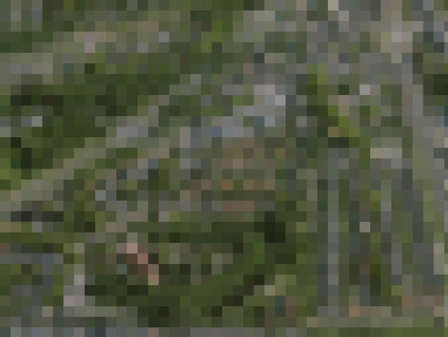 Versterstraat 40 Vught thumbnail 42