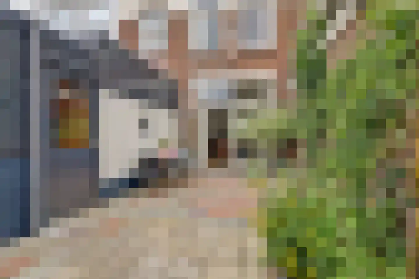 Verstolkstraat 3 Leeuwarden thumbnail 15