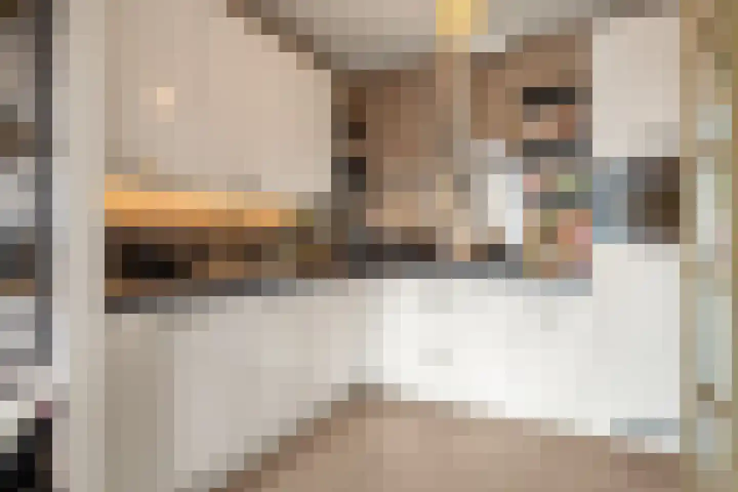 Vertrekspoor 15 Assendelft thumbnail 11