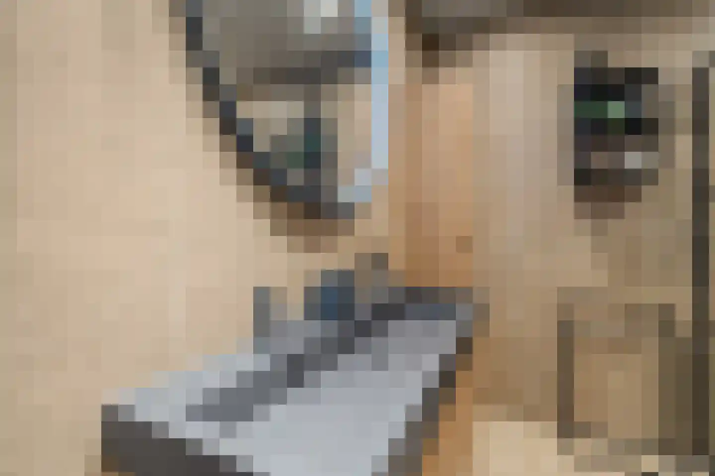 Vertrekspoor 15 Assendelft thumbnail 20