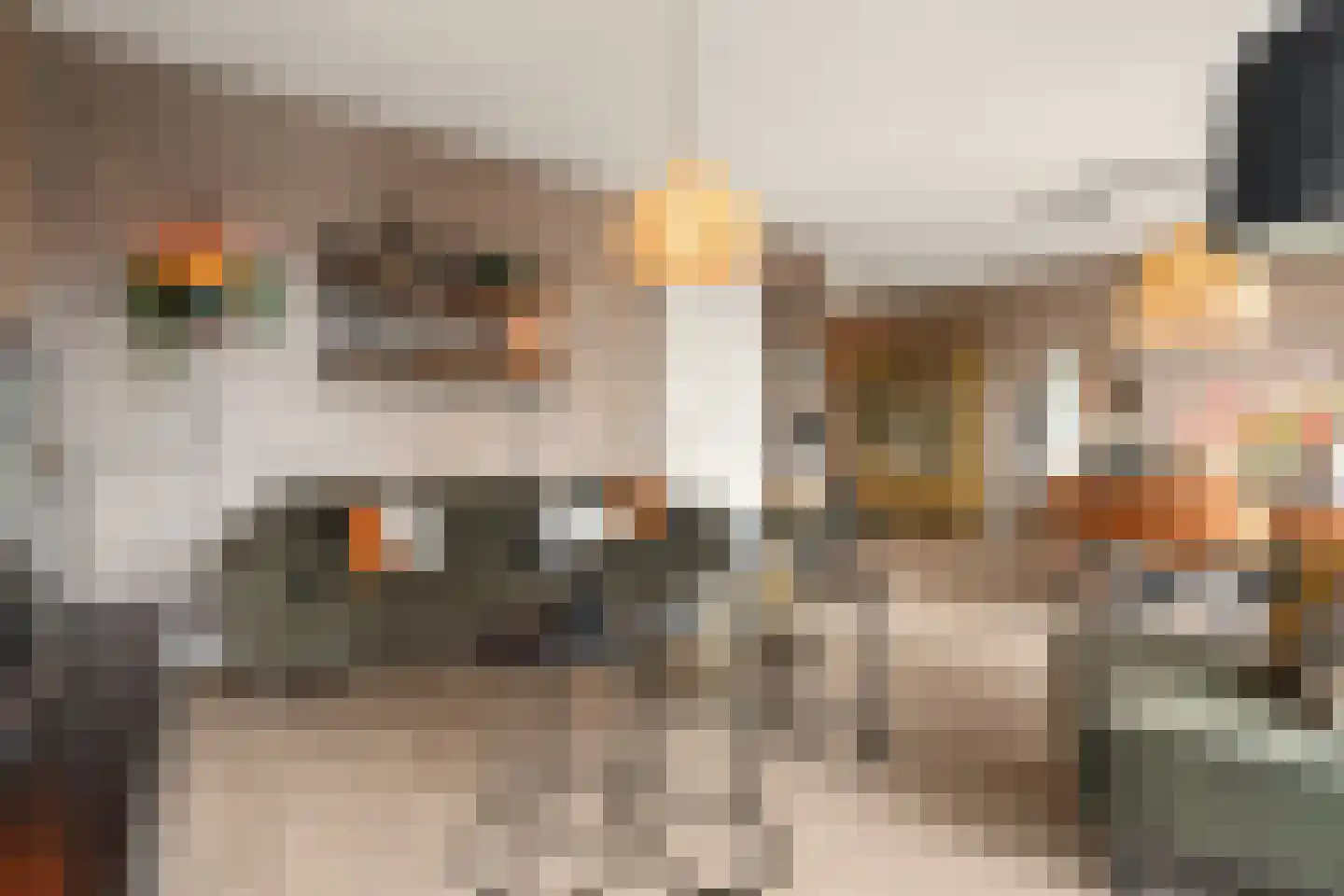 Vertrekspoor 15 Assendelft thumbnail 5