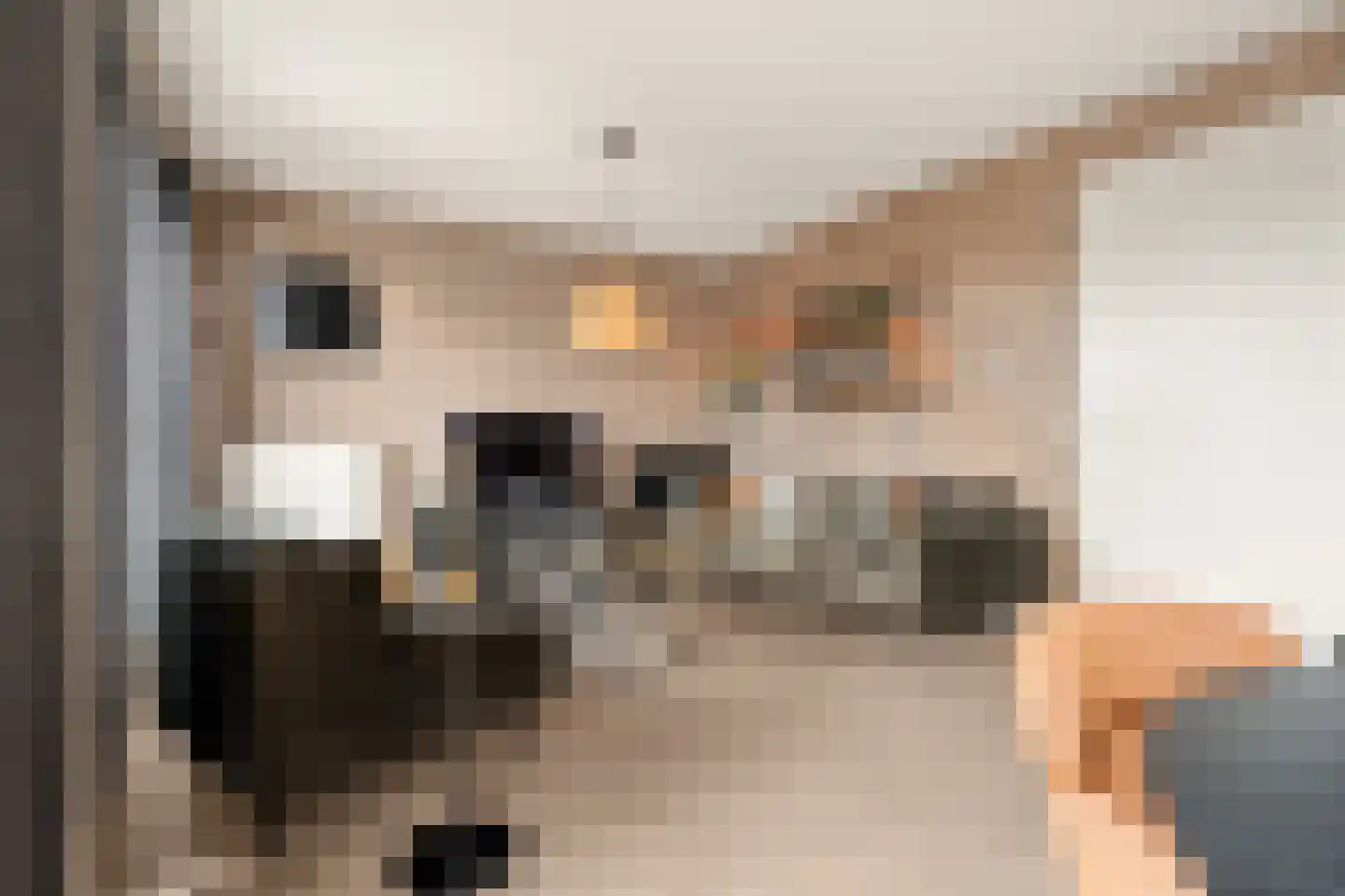 Vertrekspoor 15 Assendelft thumbnail 6