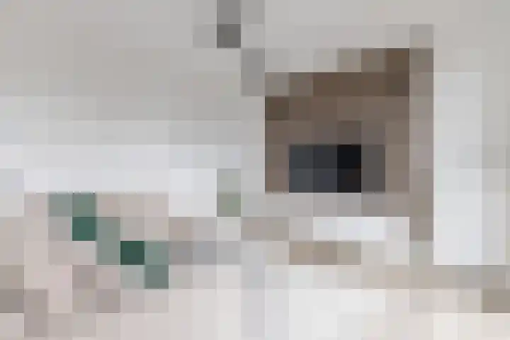 Vertrekspoor 18 Assendelft thumbnail 10