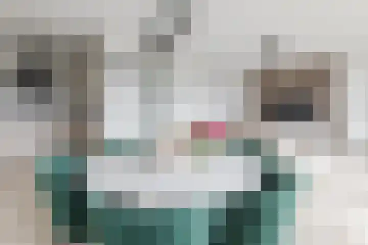 Vertrekspoor 18 Assendelft thumbnail 13