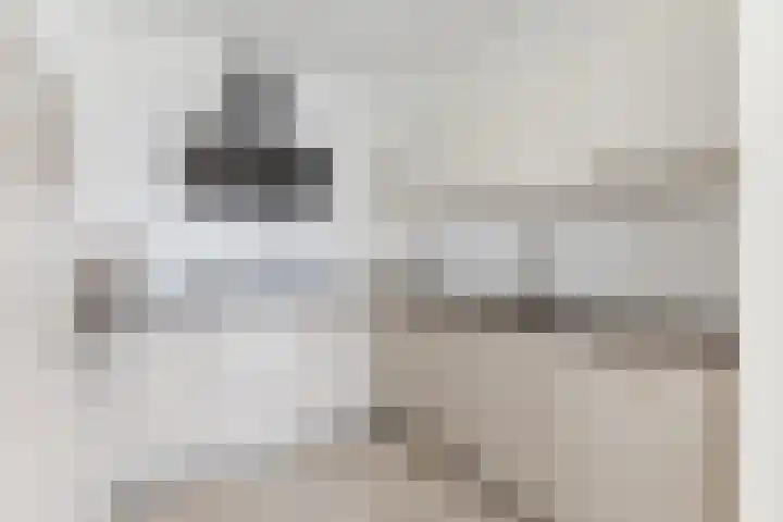 Vertrekspoor 18 Assendelft thumbnail 16