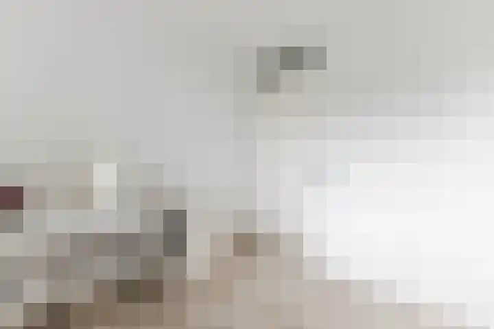 Vertrekspoor 18 Assendelft thumbnail 28