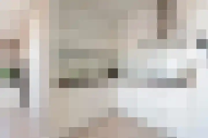 Vertrekspoor 67 Assendelft thumbnail 10