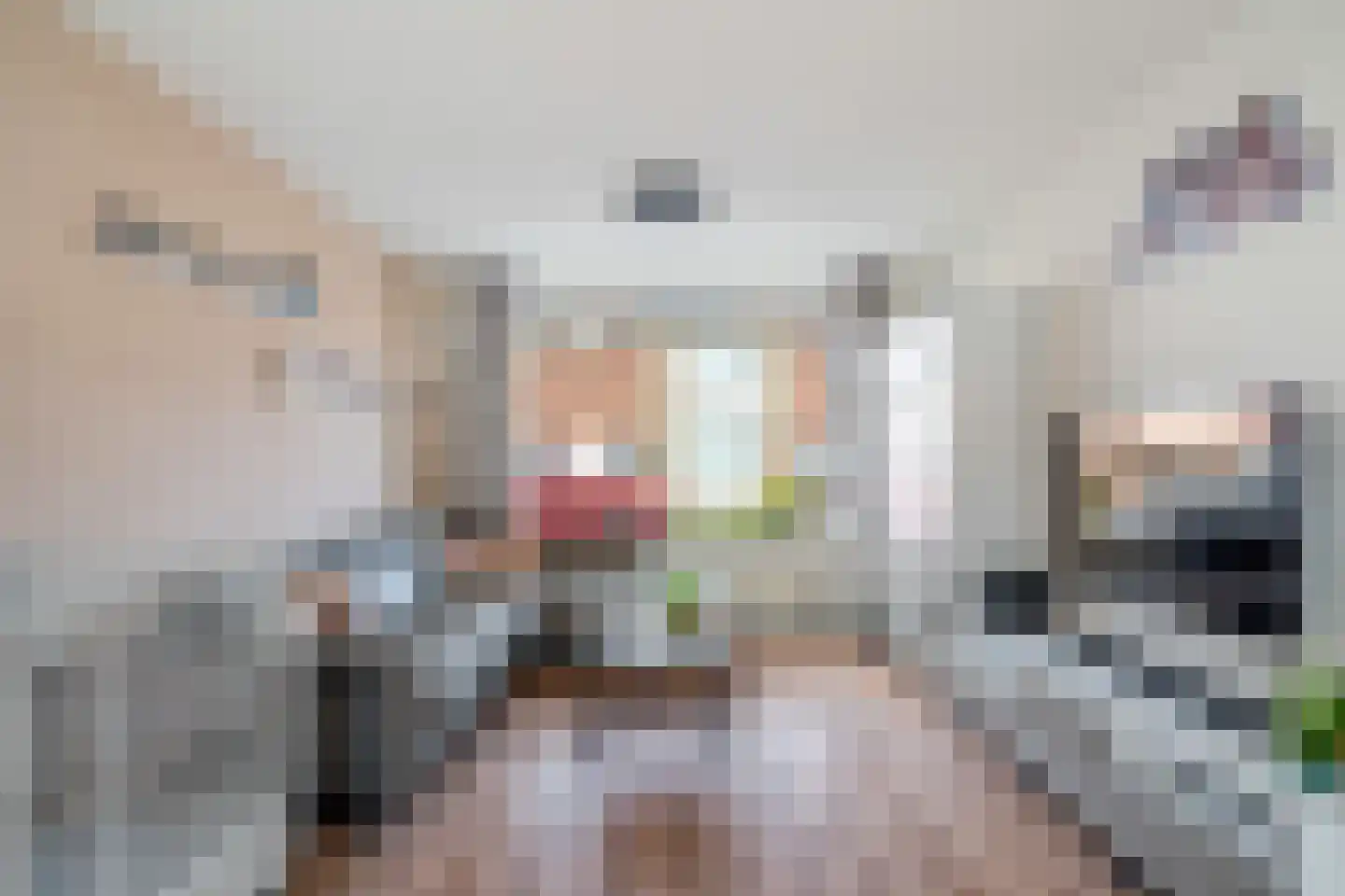 Verveenstraat 14 Berkel en Rodenrijs thumbnail 10