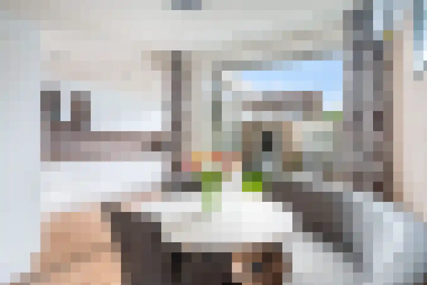 Verveenstraat 14 Berkel en Rodenrijs thumbnail 14