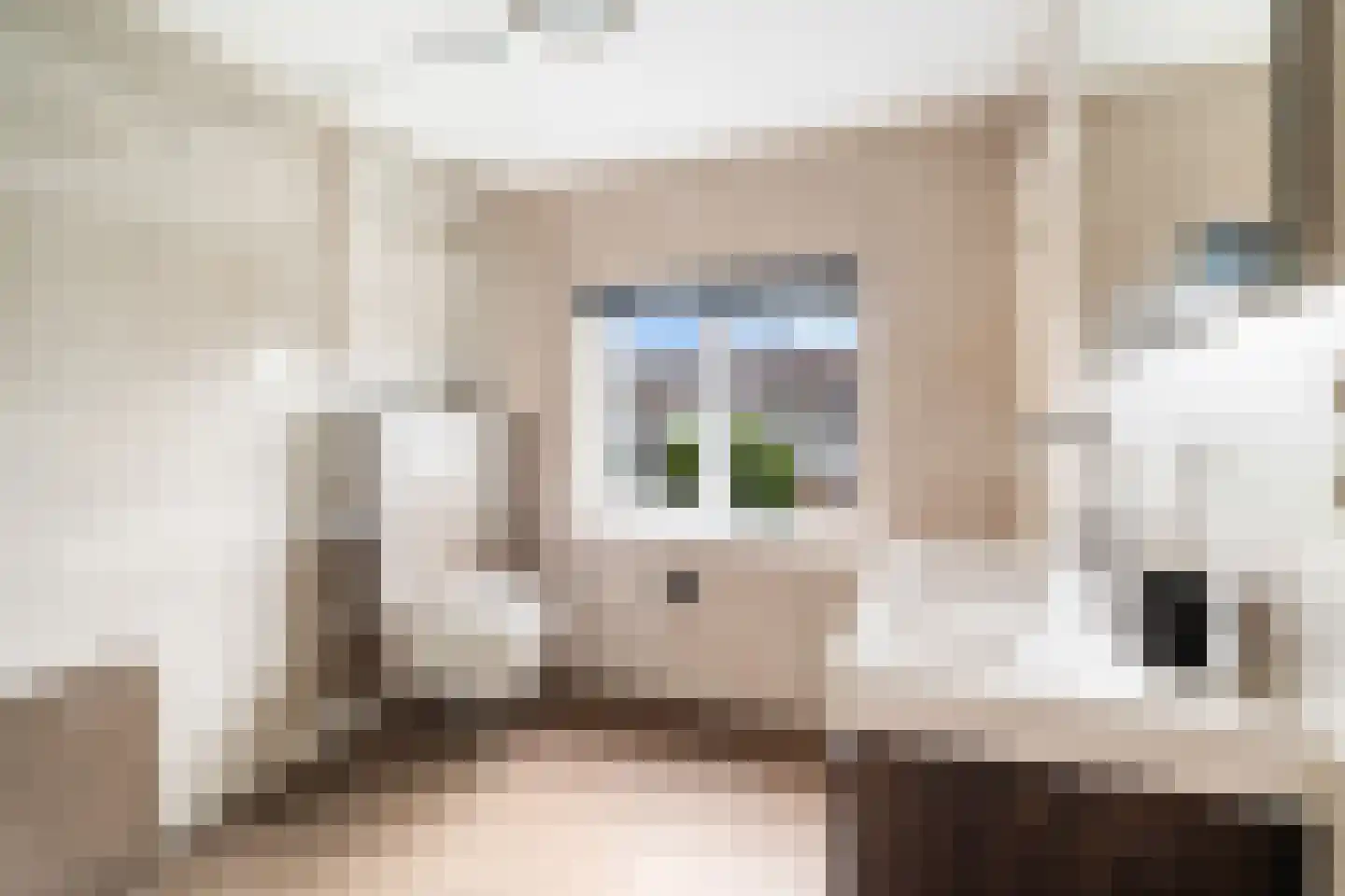 Verveenstraat 14 Berkel en Rodenrijs thumbnail 21