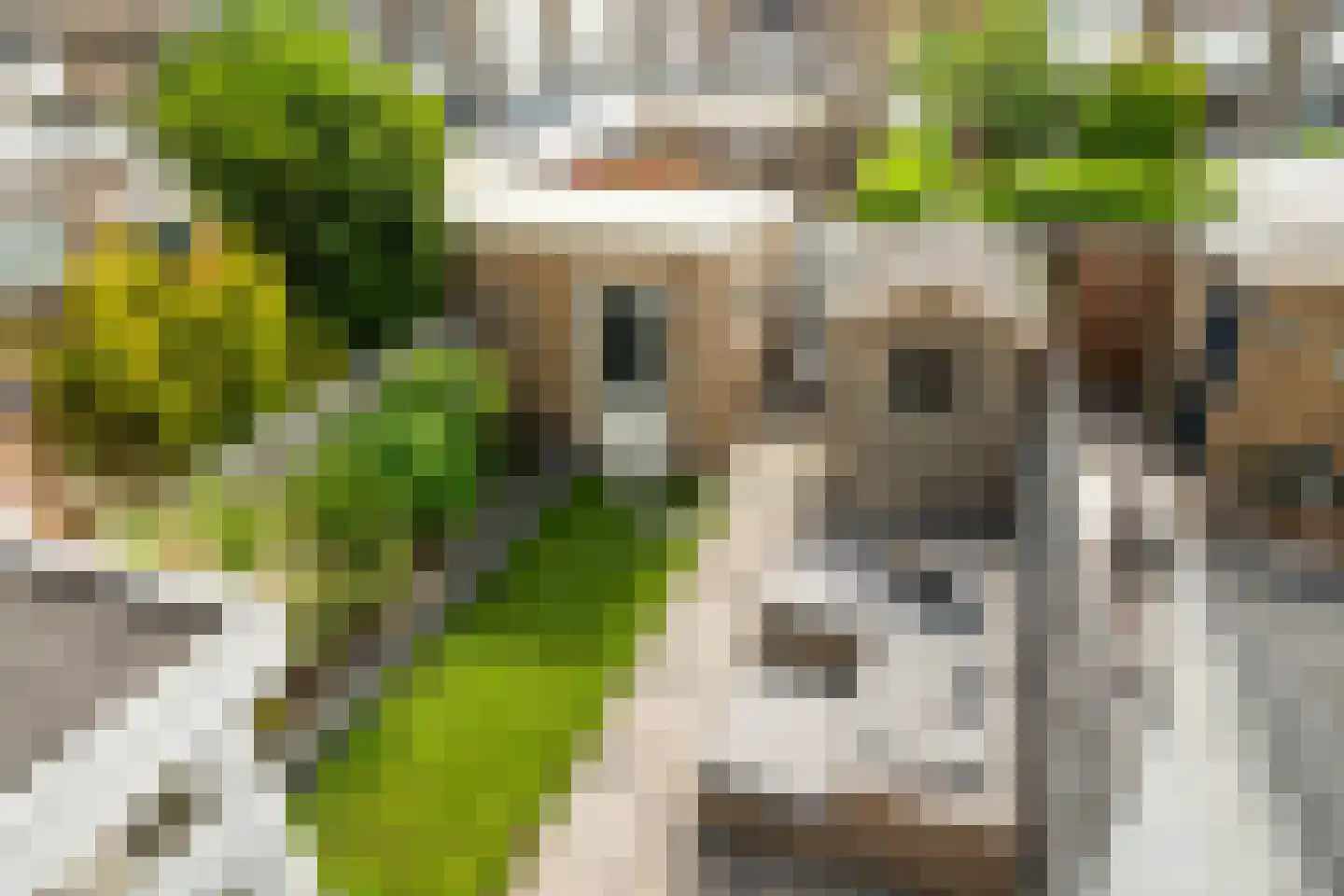 Verveenstraat 14 Berkel en Rodenrijs thumbnail 28
