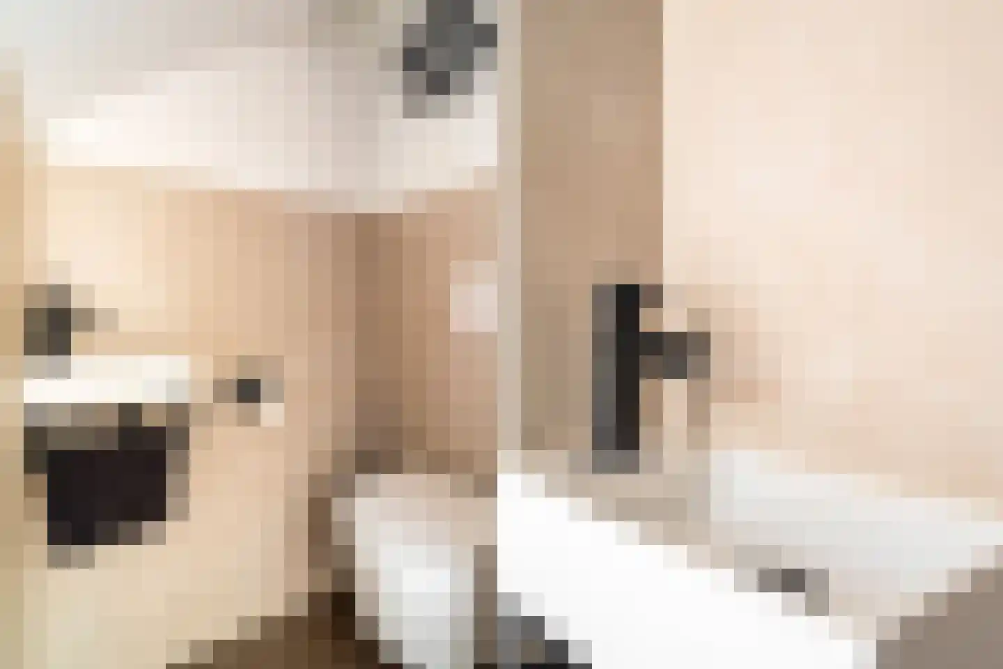 Verveenstraat 14 Berkel en Rodenrijs thumbnail 8