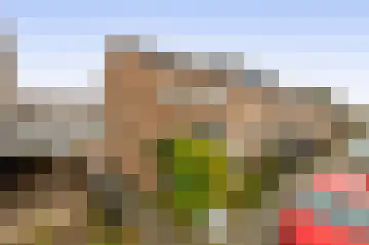 Verveenstraat 16 Berkel en Rodenrijs thumbnail 6