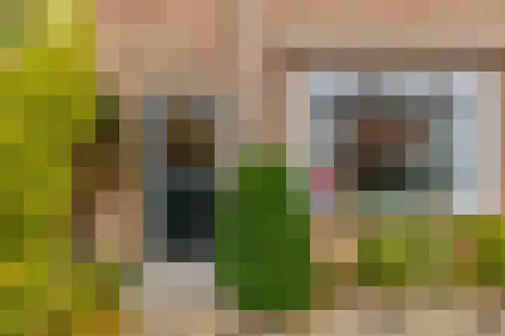 Verveenstraat 16 Berkel en Rodenrijs thumbnail 8