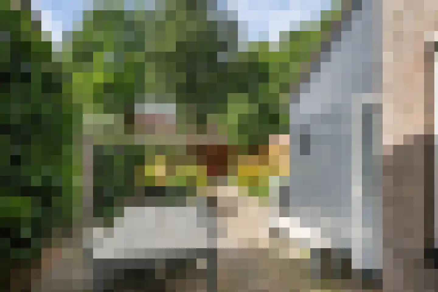 Ververij 54 Maassluis thumbnail 18