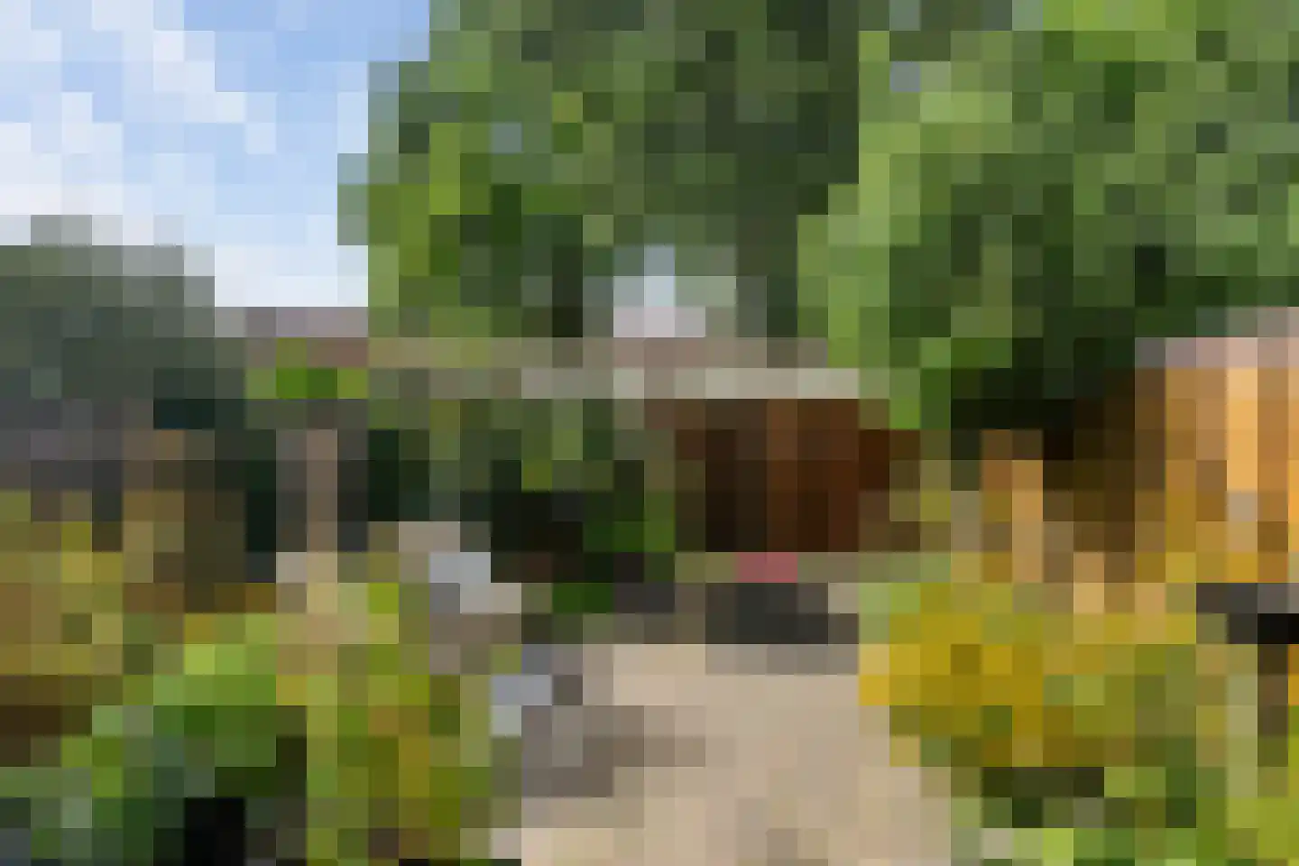 Ververij 54 Maassluis thumbnail 20