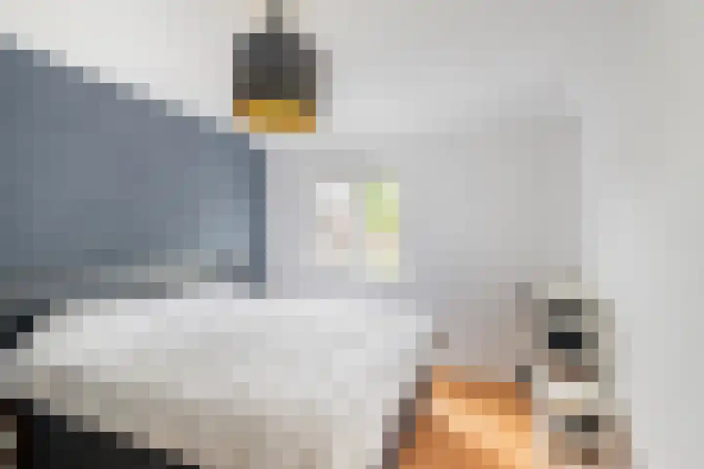 Ververij 54 Maassluis thumbnail 22