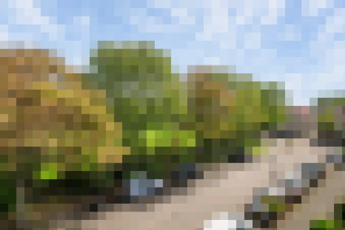 Ververij 54 Maassluis thumbnail 40