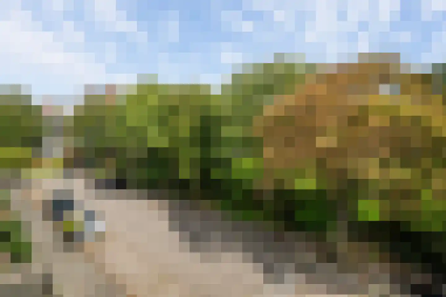 Ververij 54 Maassluis thumbnail 41